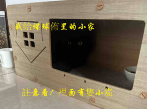 貓咪小窩