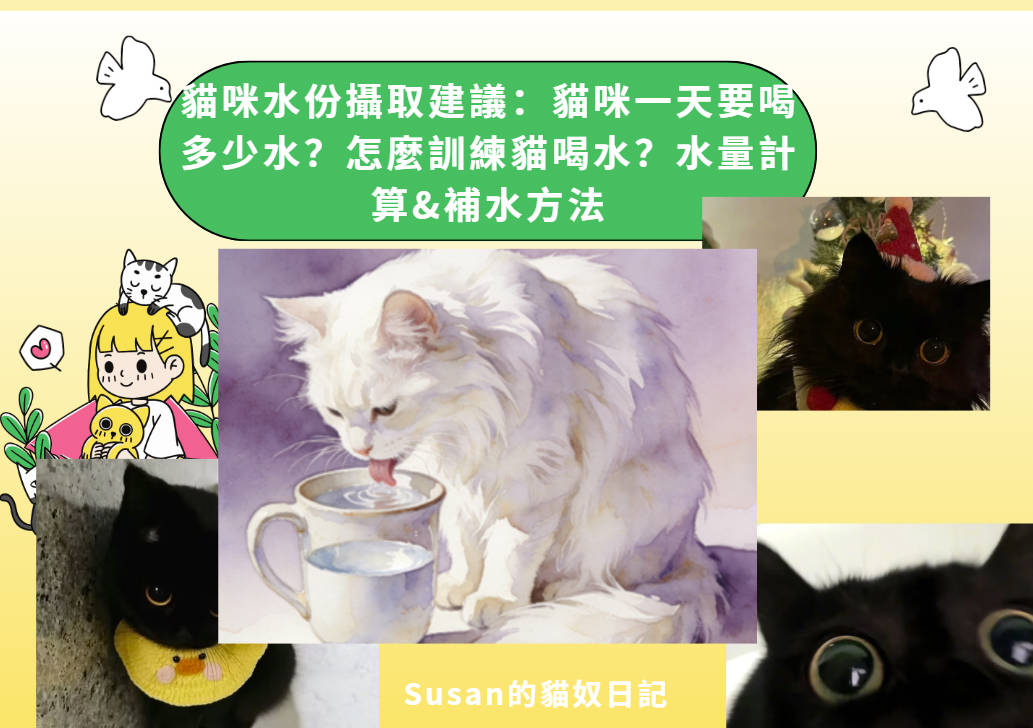 貓咪水份攝取建議：貓咪一天要喝多少水？怎麼訓練貓喝水？水量計算&補水方法