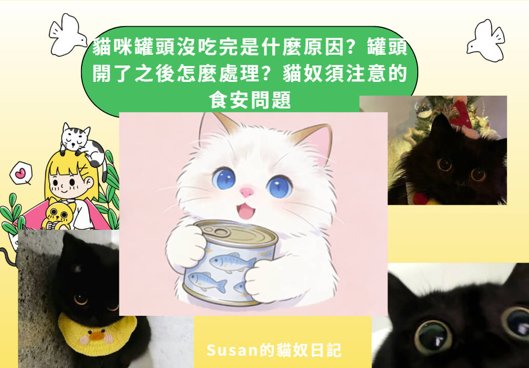貓咪罐頭沒吃完是什麼原因？罐頭開了之後怎麼處理？貓飼料保存指南